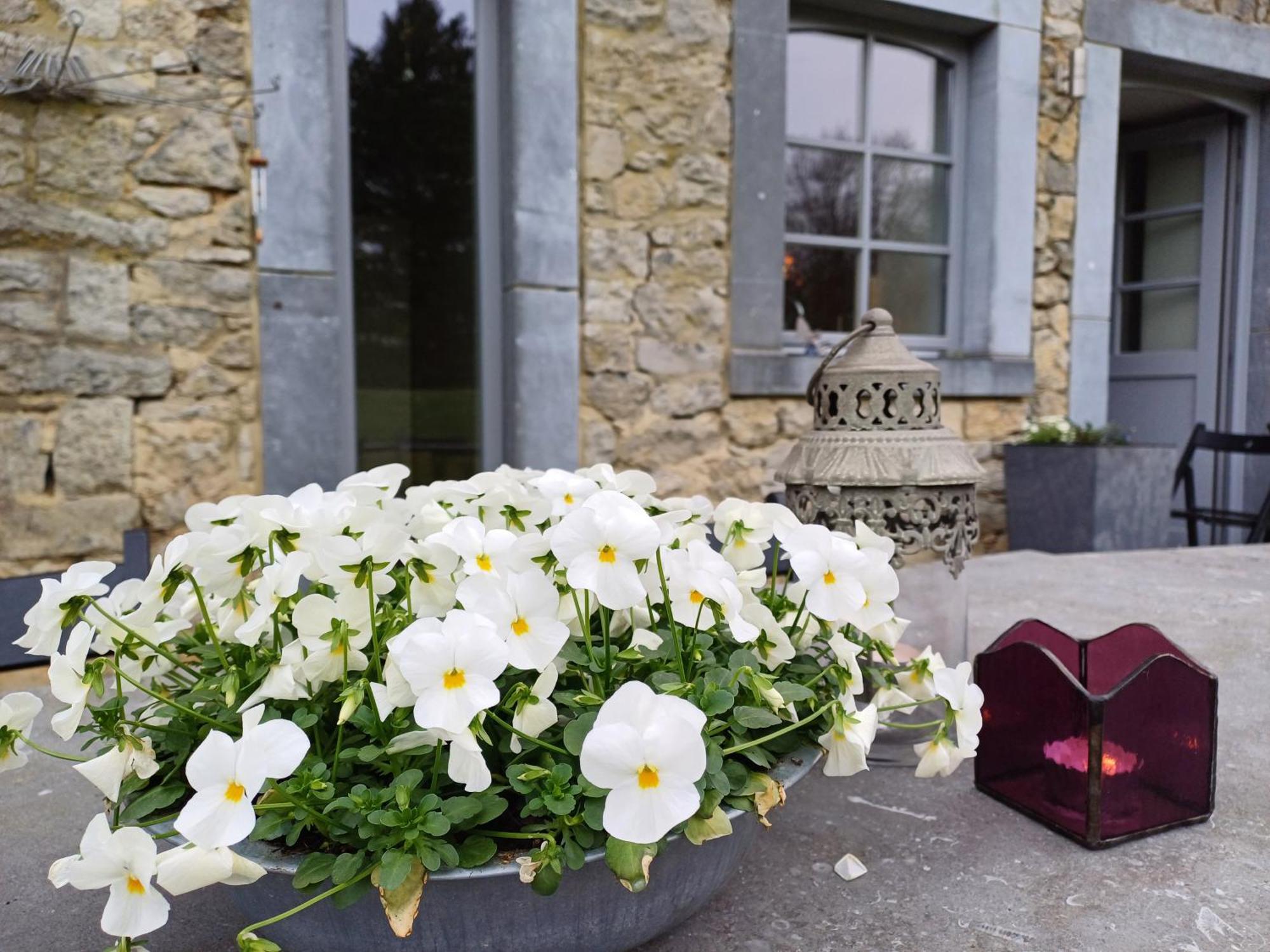 Holiday home La Colline Aux Fees *